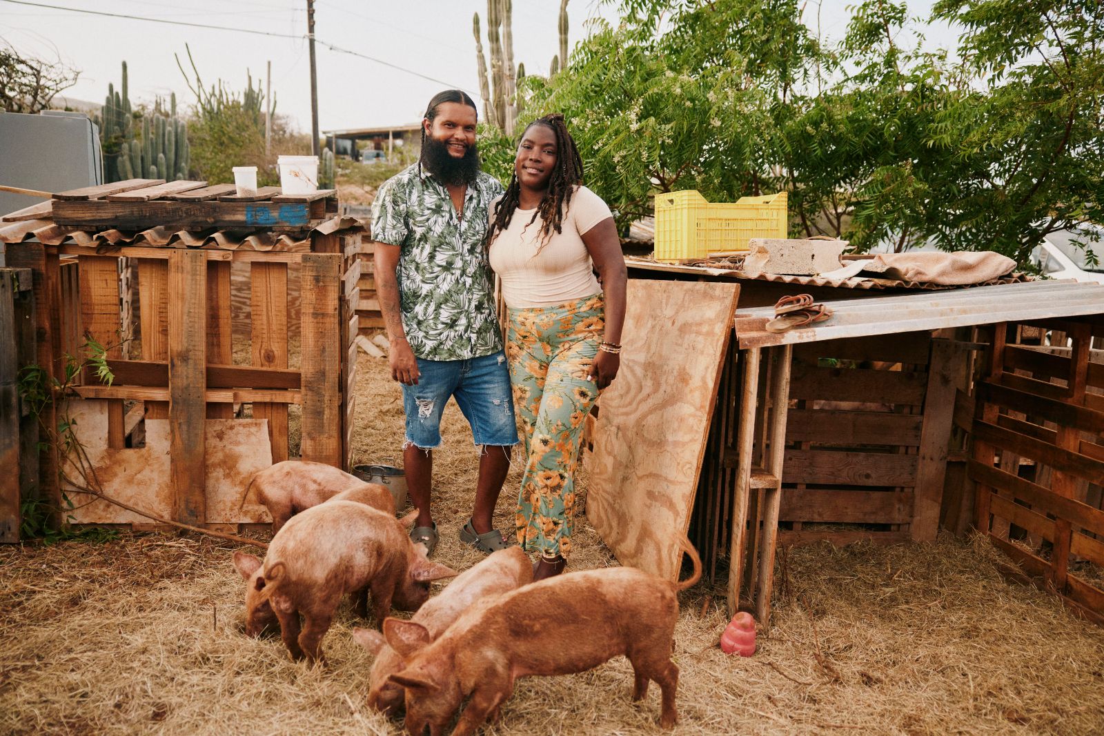 Happy couple standing near grazing piglets by wooden farm shelters outdoors.