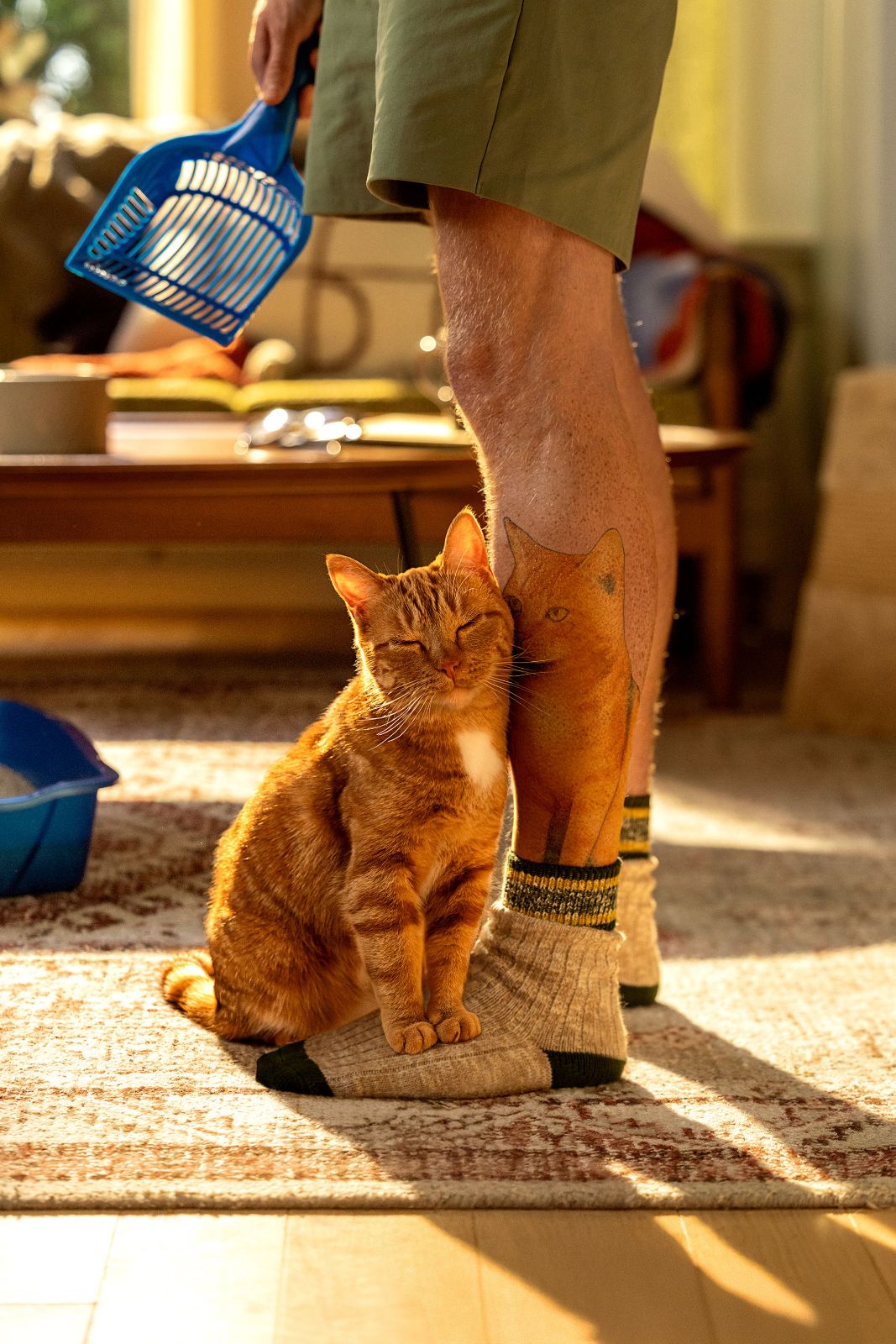 Orange tabby cat sitting on the foot of a man with a matching feline tattoo.