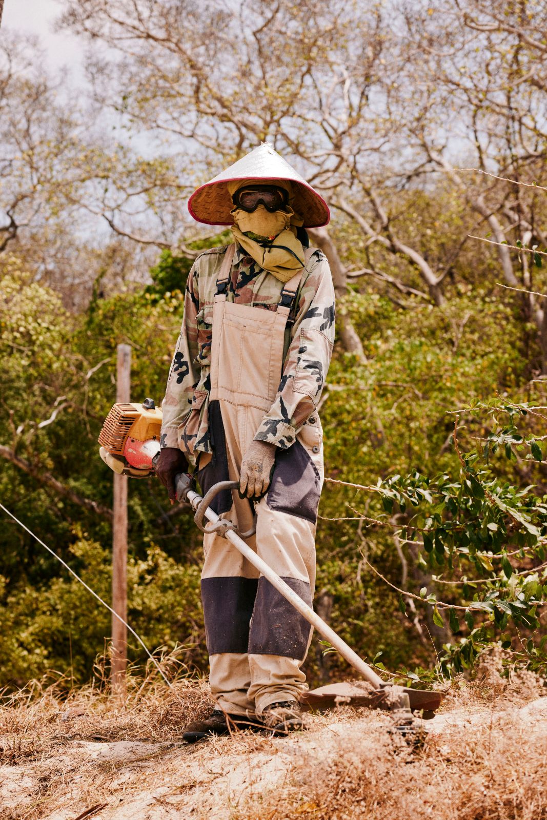 Fully covered laborer holding a brush cutter while standing in dense, dry brush.