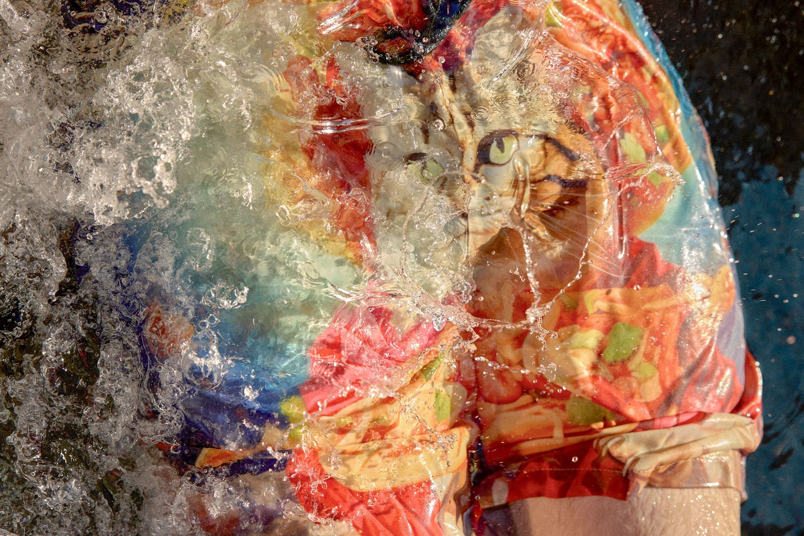 Abstract crashing pool water distorts the bizarre cat and pizza pattern of his swim trunks.
