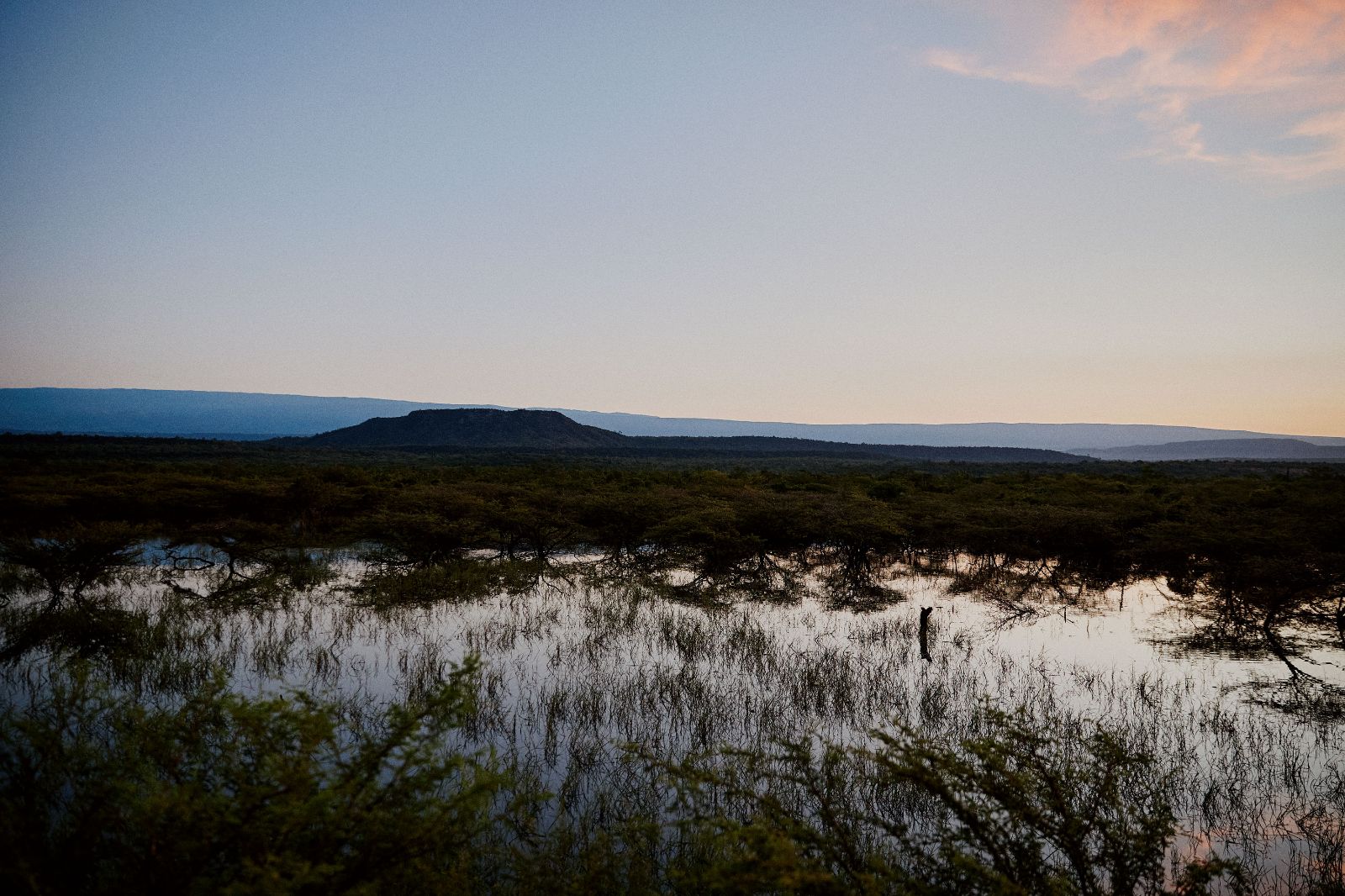 Twilight settles over a marshy landscape reflecting trees and mountains in tranquil water.