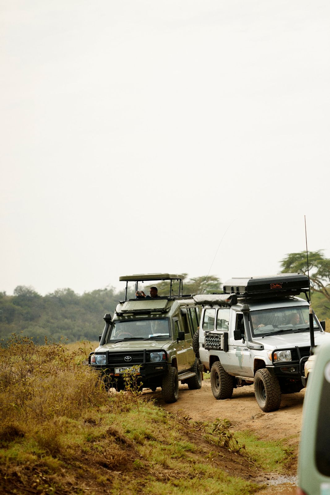Photographers catching the view from atop their vehicles.