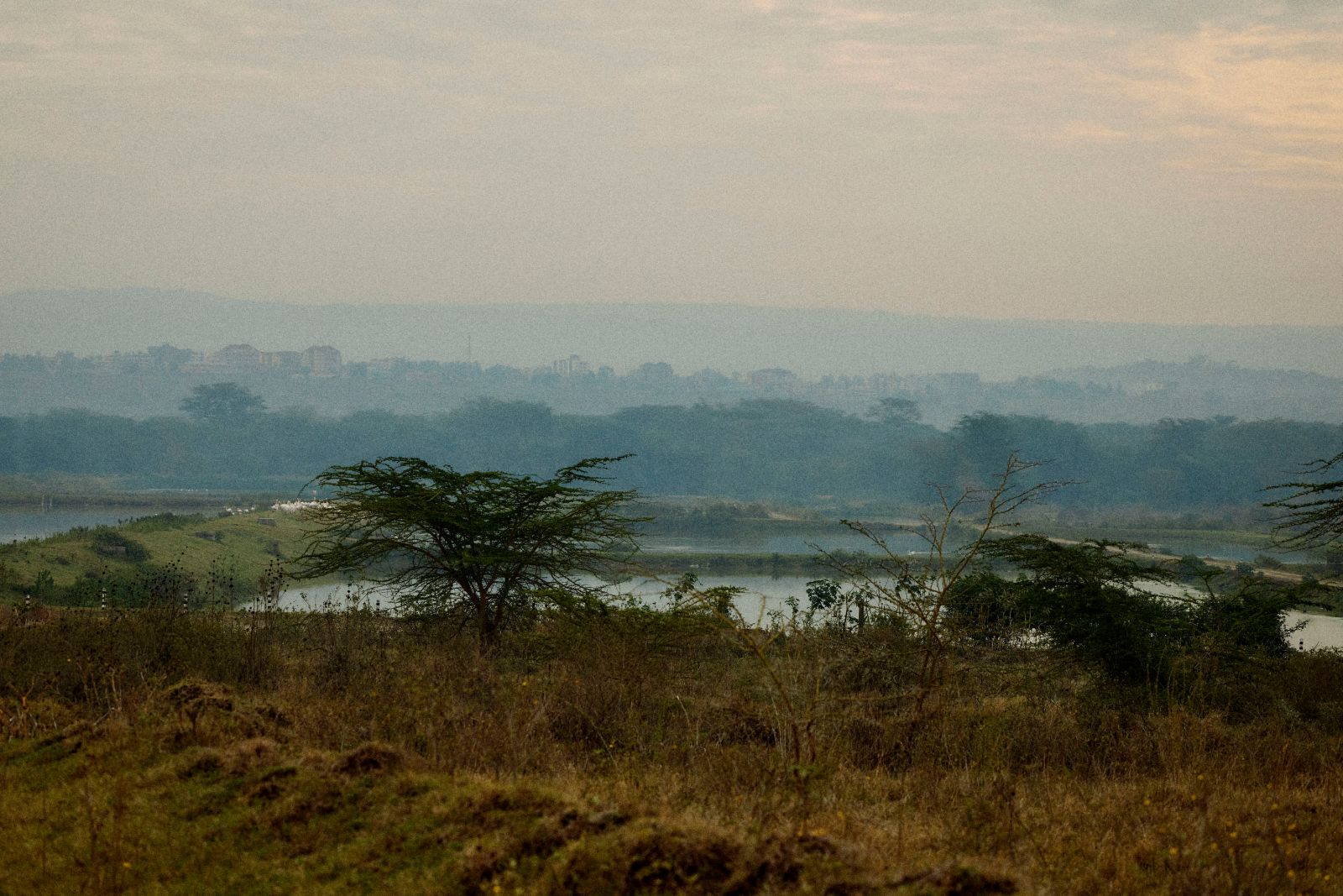 Haze settling deeply over the distant treeline and water.
