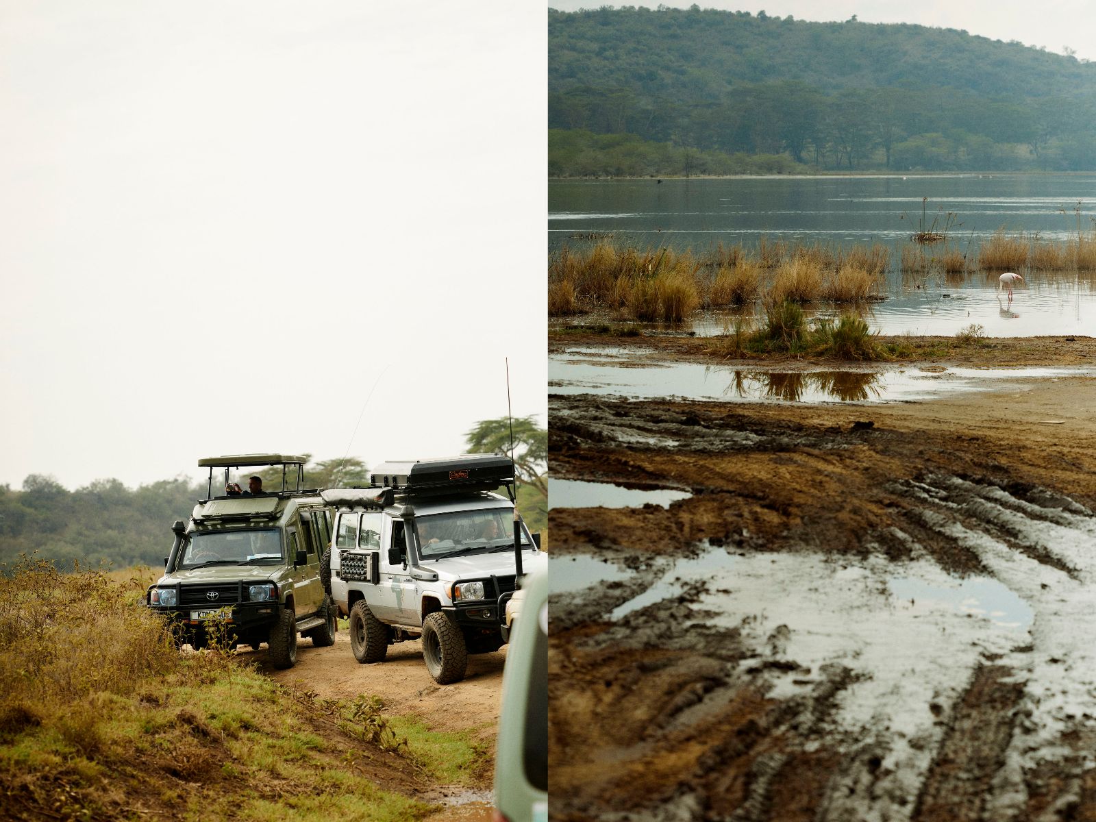 Muddy tire tracks leading out to a shallow lakeside marsh.